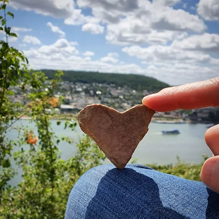 Altdeutsche Weinstube Ruedesheim am Rhein