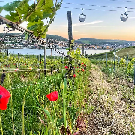 Altdeutsche Weinstube - Superior 3*