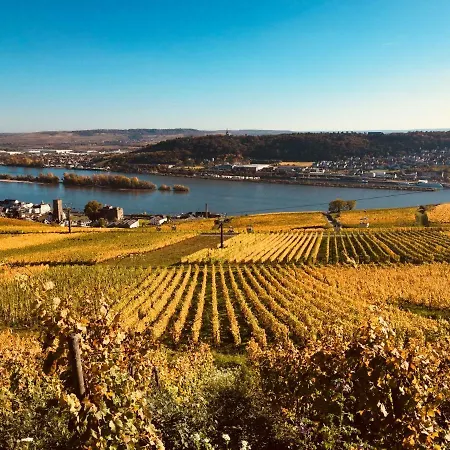 Hotel Altdeutsche Weinstube 3*