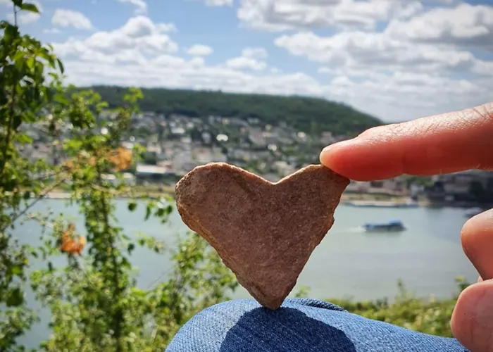 Altdeutsche Weinstube Ruedesheim am Rhein