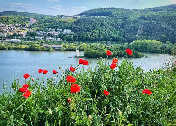 Altdeutsche Weinstube Hotel 3*
