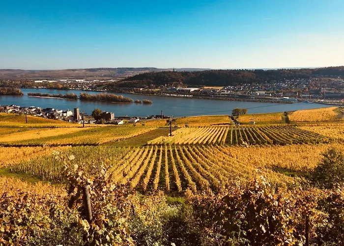 Hotel Altdeutsche Weinstube 3*